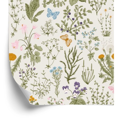 Tapeta Kwiaty Polne Z Jagodami