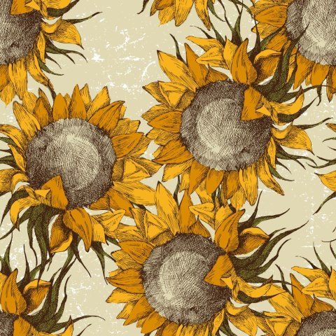 Tapeta Kwiaty Słonecznika W Stylu Vintage