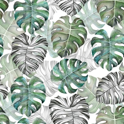 Tapeta Liście Monstera