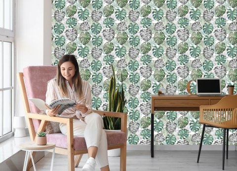 Tapeta Liście Monstera