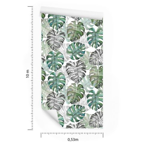 Tapeta Liście Monstera