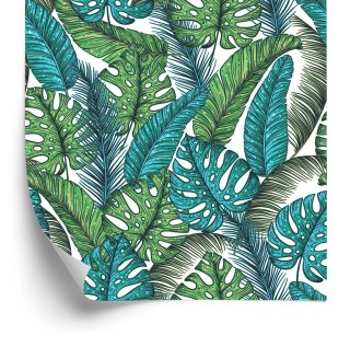 Tapeta Liście Monstera Dżungla