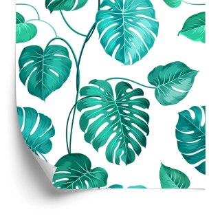Tapeta Liście Monstera Natura