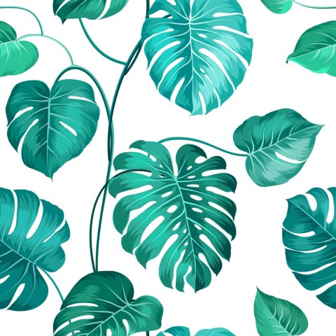 Tapeta Liście Monstera Natura
