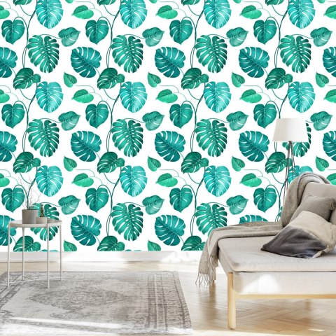 Tapeta Liście Monstera Natura