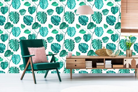 Tapeta Liście Monstera Natura