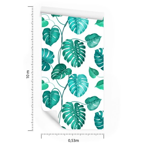 Tapeta Liście Monstera Natura
