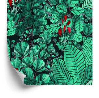 Tapeta Liście Monstery