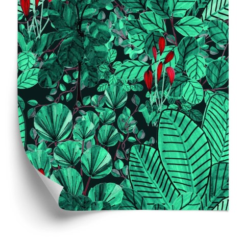 Tapeta Liście Monstery