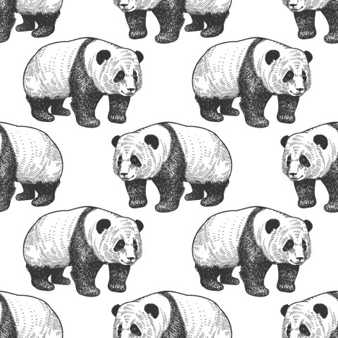 Tapeta Spacerujące Pandy