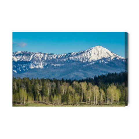 Obraz Na Płótnie Park Narodowy Grand Teton W Usa Obraz Na Płótnie Park Narodowy Grand Teton W Usa