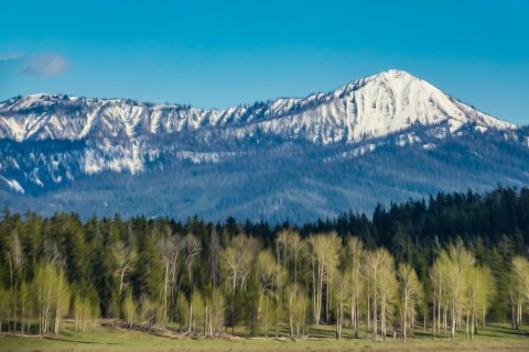 Obraz Na Płótnie Park Narodowy Grand Teton W Usa Obraz Na Płótnie Park Narodowy Grand Teton W Usa