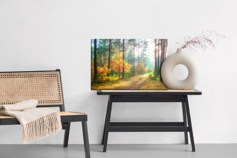 Obraz Na Płótnie Promienie Słońca W Lesie 3D Obraz Na Płótnie Promienie Słońca W Lesie 3D