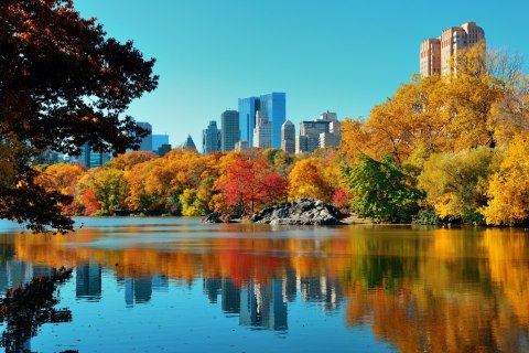 Obraz Na Płótnie Central Park Jesienią Obraz Na Płótnie Central Park Jesienią