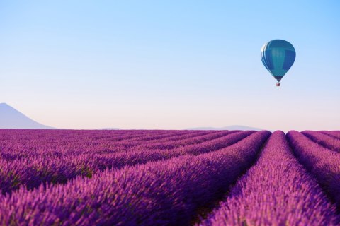 Obraz Na Płótnie Balon Nad Lawendowym Polem Obraz Na Płótnie Balon Nad Lawendowym Polem