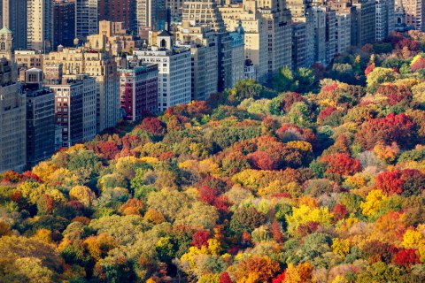 Obraz Na Płótnie Widok Z Lotu Ptaka Na Central Park Obraz Na Płótnie Widok Z Lotu Ptaka Na Central Park