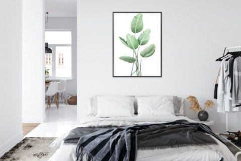 Plakat Strelicja Biała Rama Aluminiowa Kolor Czarny