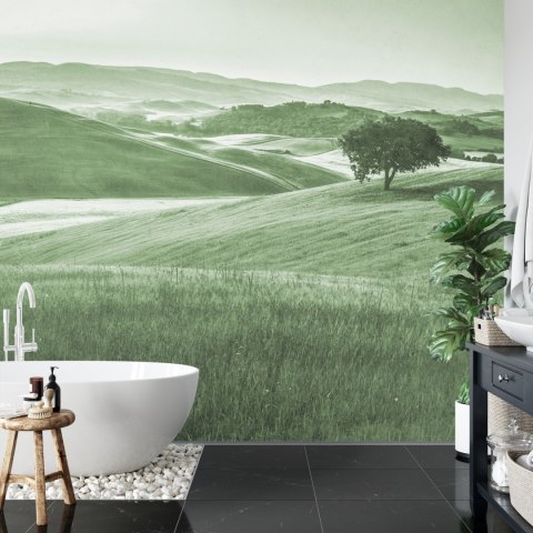 Fototapeta Rolling Hills Faded Vintage W Kolorze Zielonym