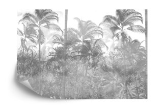 Fototapeta Tropical Trees And Leaves In Foggy Forest Wallpaper Design - 3D
