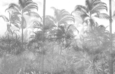 Fototapeta Tropical Trees And Leaves In Foggy Forest Wallpaper Design - 3D