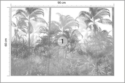 Fototapeta Tropical Trees And Leaves In Foggy Forest Wallpaper Design - 3D