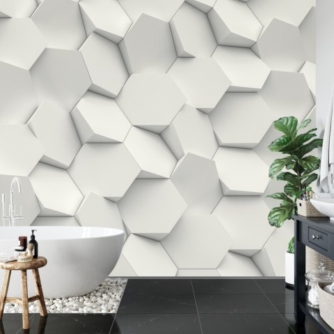 Fototapeta Hexag