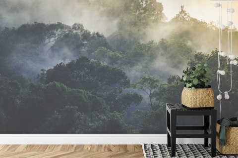 Fototapeta Landscape Of Asia Tropical Rainforest, Canopy Tree Of Jungle Green Forest Park Outdoor, Nature Environment Mountain V