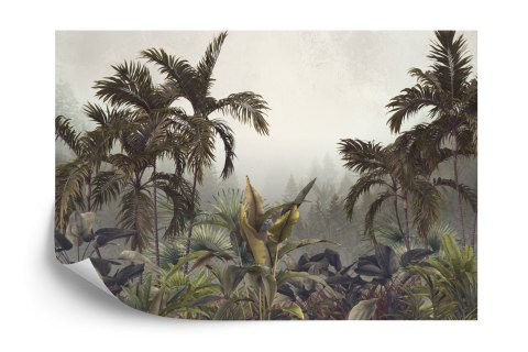Fototapeta Tropical Trees And Leaves For Digital Printing Wallpaper, Custom Design Wallpaper - 3D