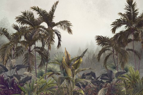 Fototapeta Tropical Trees And Leaves For Digital Printing Wallpaper, Custom Design Wallpaper - 3D
