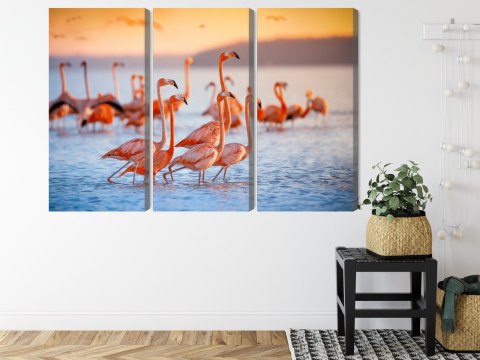 Obraz Wieloczęściowy Stado Flamingów Nad Wodą Obraz Wieloczęściowy Stado Flamingów Nad Wodą
