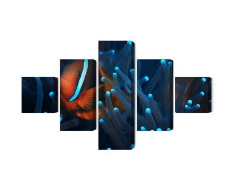 Obraz Wieloczęściowy Błazenek W Anemonie 3D Obraz Wieloczęściowy Błazenek W Anemonie 3D