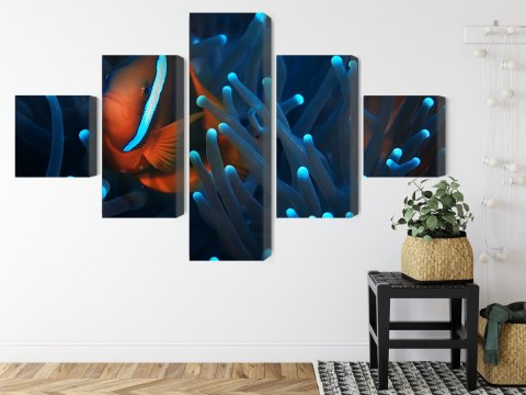 Obraz Wieloczęściowy Błazenek W Anemonie 3D Obraz Wieloczęściowy Błazenek W Anemonie 3D