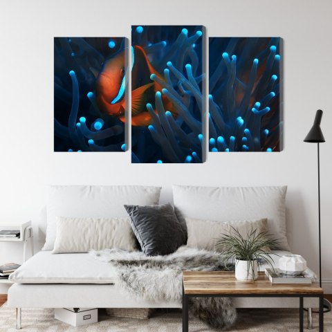 Obraz Wieloczęściowy Błazenek W Anemonie 3D Obraz Wieloczęściowy Błazenek W Anemonie 3D