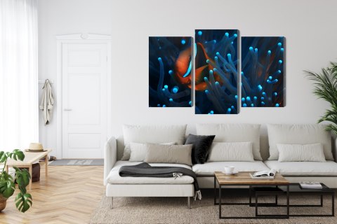 Obraz Wieloczęściowy Błazenek W Anemonie 3D Obraz Wieloczęściowy Błazenek W Anemonie 3D