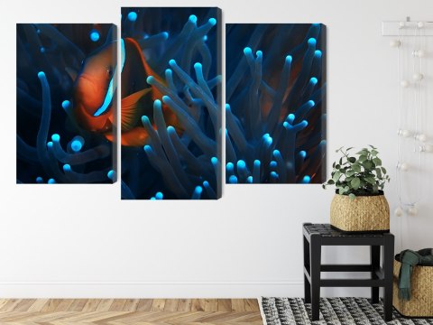 Obraz Wieloczęściowy Błazenek W Anemonie 3D Obraz Wieloczęściowy Błazenek W Anemonie 3D