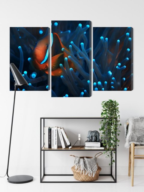 Obraz Wieloczęściowy Błazenek W Anemonie 3D Obraz Wieloczęściowy Błazenek W Anemonie 3D