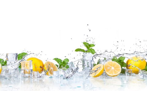 Obraz Wieloczęściowy Liście Mięty Z Cytrynami