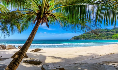 Obraz Wieloczęściowy Tropikalna Plaża Z Palmą 3D Obraz Wieloczęściowy Tropikalna Plaża Z Palmą 3D