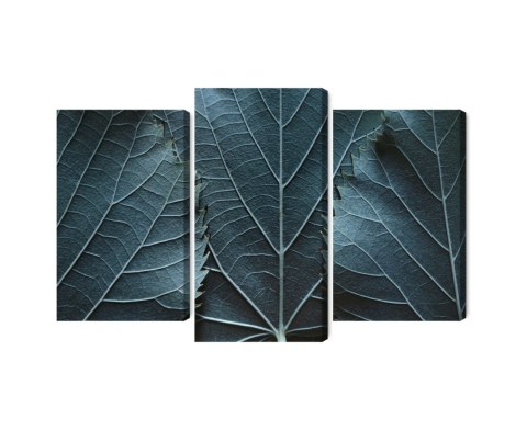 Obraz Wieloczęściowy Liście Z Makro Z Efektem 3D Obraz Wieloczęściowy Liście Z Makro Z Efektem 3D