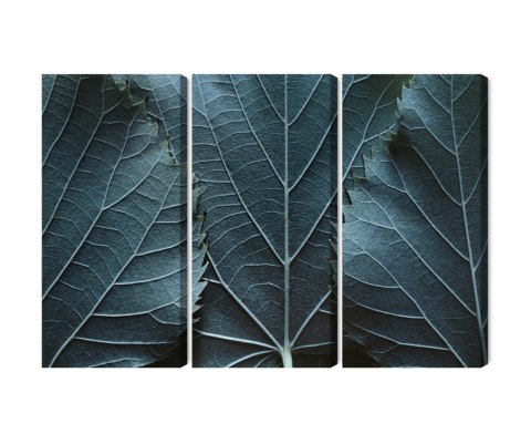 Obraz Wieloczęściowy Liście Z Makro Z Efektem 3D Obraz Wieloczęściowy Liście Z Makro Z Efektem 3D