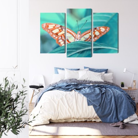Obraz Wieloczęściowy Motyl Na Liściu W Skali Makro Obraz Wieloczęściowy Motyl Na Liściu W Skali Makro