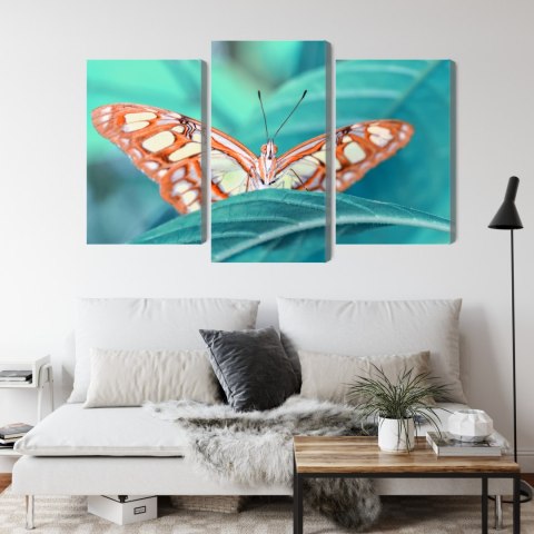 Obraz Wieloczęściowy Motyl Na Liściu W Skali Makro Obraz Wieloczęściowy Motyl Na Liściu W Skali Makro