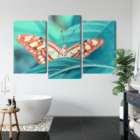 Obraz Wieloczęściowy Motyl Na Liściu W Skali Makro Obraz Wieloczęściowy Motyl Na Liściu W Skali Makro