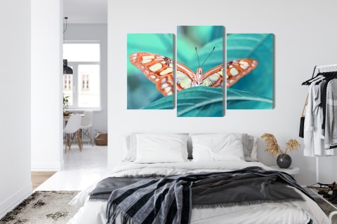 Obraz Wieloczęściowy Motyl Na Liściu W Skali Makro Obraz Wieloczęściowy Motyl Na Liściu W Skali Makro