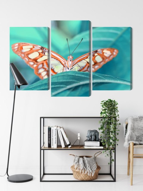 Obraz Wieloczęściowy Motyl Na Liściu W Skali Makro Obraz Wieloczęściowy Motyl Na Liściu W Skali Makro