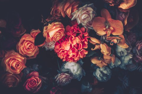Obraz Wieloczęściowy Kolorowe Kwiaty W Stylu Vintage Obraz Wieloczęściowy Kolorowe Kwiaty W Stylu Vintage