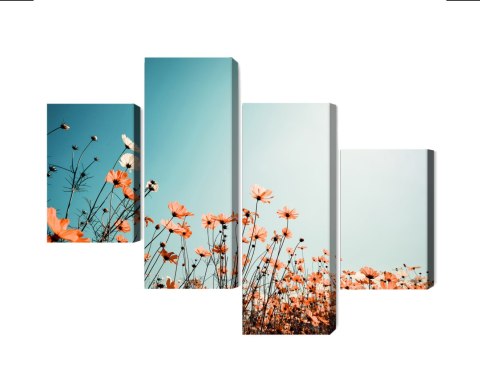 Obraz Wieloczęściowy Kwiaty Polne W Słońcu Obraz Wieloczęściowy Kwiaty Polne W Słońcu