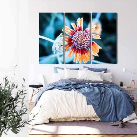 Obraz Wieloczęściowy Kwiaty Rudbeckia Pokryte Szronem Obraz Wieloczęściowy Kwiaty Rudbeckia Pokryte Szronem