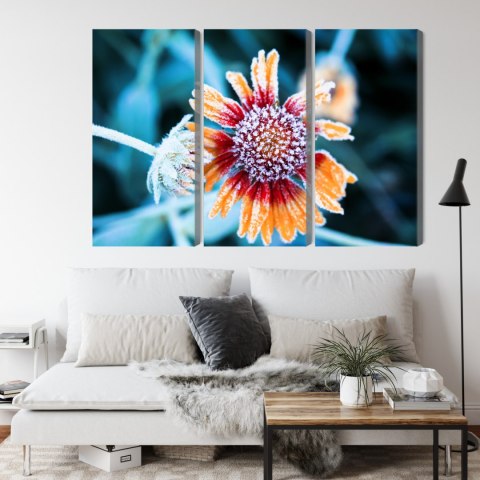 Obraz Wieloczęściowy Kwiaty Rudbeckia Pokryte Szronem Obraz Wieloczęściowy Kwiaty Rudbeckia Pokryte Szronem