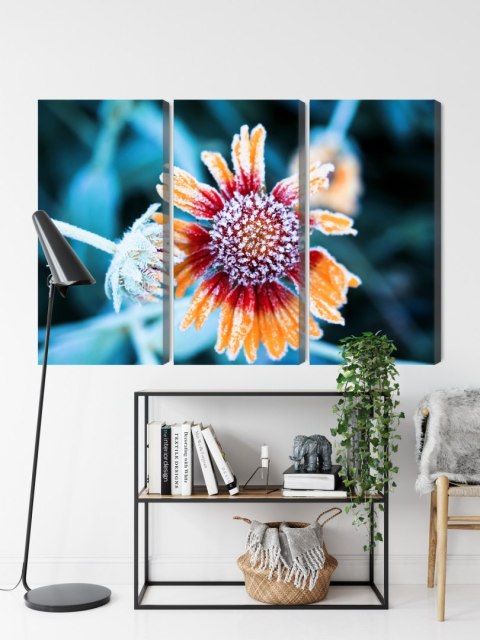 Obraz Wieloczęściowy Kwiaty Rudbeckia Pokryte Szronem Obraz Wieloczęściowy Kwiaty Rudbeckia Pokryte Szronem